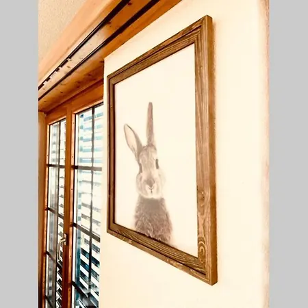 Διαμέρισμα Renovated Flat In Center Of The Village Saas Fee