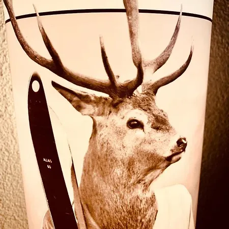 Appartement Renovated Flat In Center Of The Village *