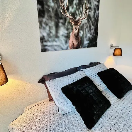 Renovated Flat In Center Of The Village * Saas-Fee